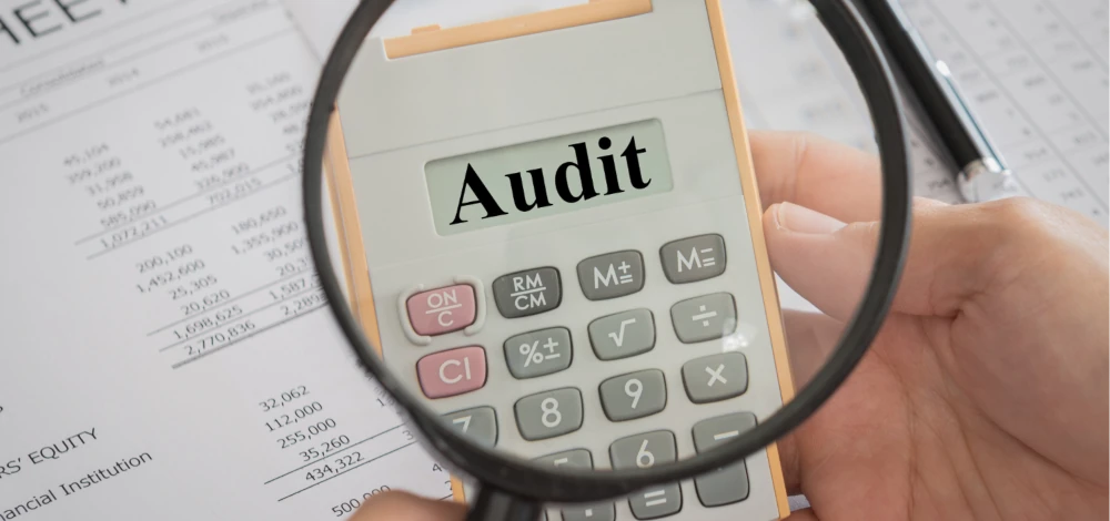 Investor Readiness Audit